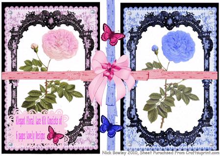 Elegant Floral Design of Pink/blue Lace 6 Page Kit