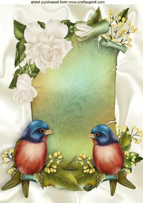 Pretty Birds on a Scroll with Cream Roses A4