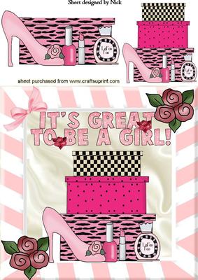 Great to Be a Girl! Lots of Pressies with Shoes 8x8