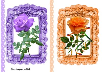Pretty Roses in Frilly Frame Toppers