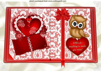 Open Lace Book with Cute Love Owl and Bow A4