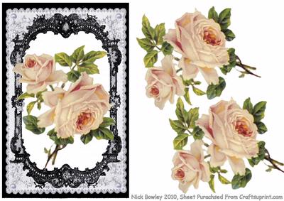 Beautiful Pink Roses in Black Lace Frame