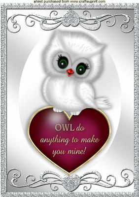 Little White Owl in Silver Ornate Frame A4