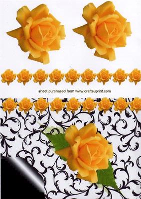 Lovely Yellow Rose on Pretty Background