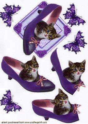 Cute Kitten in a Shoe
