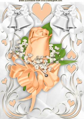 Peach Rose Corsage with White Bells A4