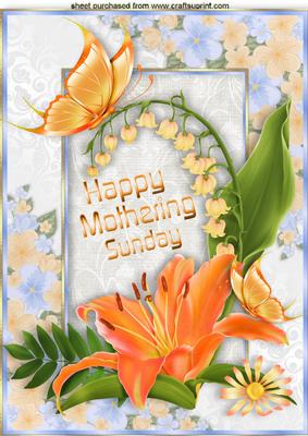 Mothering Sunday! with Pretty Peach Lilies and Butterflies
