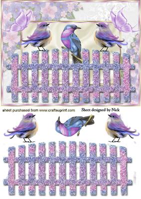 Pretty Song Birds with Butterflies in Floral Frame