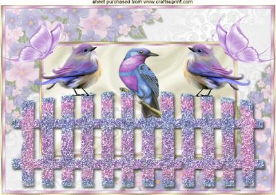 Pretty Song Birds with Butterflies in Floral Frame A4