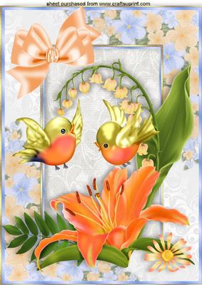 Peach Lilies with Little Birds in Flower Frame A4