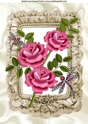 Pink Roses with Dragonflies in Frill Frame A4