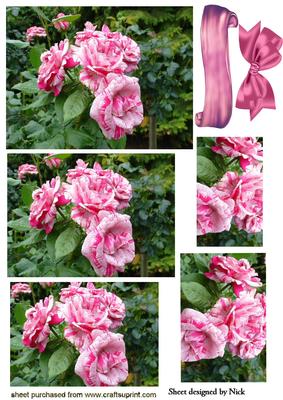 Pink Roses Pyramids with Bow