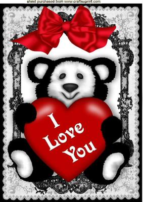 Black/white Panda with Big Red Bow in Lace Frame A4
