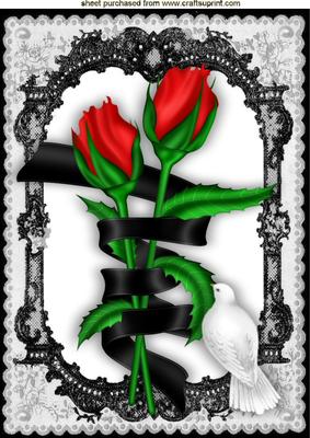 Red Rose Entwined with Black Ribbon in Lace Frame A4