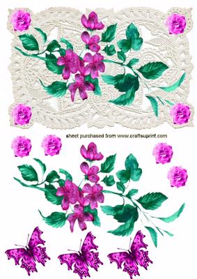 Gorgeous Cerise Floral Design and Matching Butterflies on Ecru Lace L