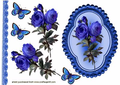 Beautiful Blue Roses in Pretty Frame