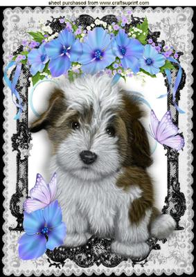 Cute Puppy with Flowers in Lace Frame A4