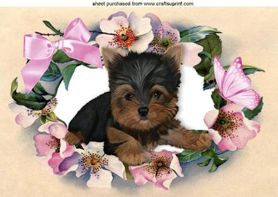Cute Little Yorkshire Terrier in Flower Frame A4
