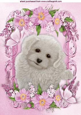 Adorable Little White Puppy in Pink Flowers A4