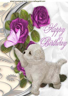 Cute White Puppy Reaching for Butterly in Pink Roses A4