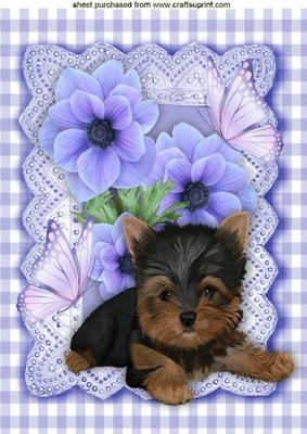 Cute Yorkie in Gingham Frame with Flowers A4