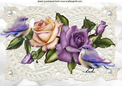 Roses on Ecru Lace with Little Birds A4