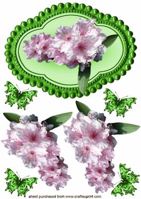 Pretty Pink Floral and Green Frame