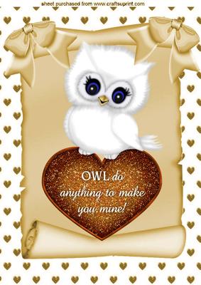 Gorgeous Little Owl with Gold Heart on a Scroll A4