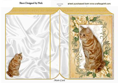 Ginger Cat in Frame of Roses Folded Book