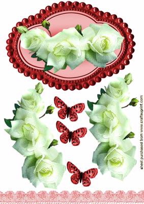 Gorgeous Cream Roses in Red Frame