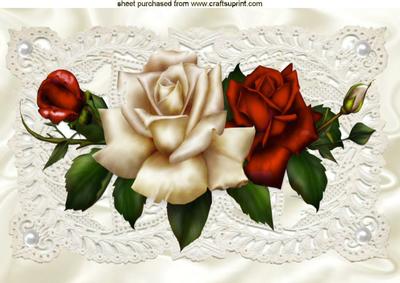 Beautiful Cream/red Roses on Vintage Lace A4