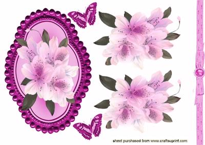 Pretty Floral Design in Frame with Ribbon Border