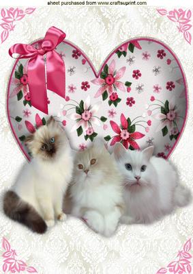I Just Love Cats! on Pretty Heart with Lace A4