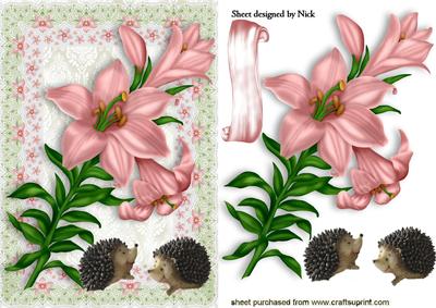 Pink Lillies with Hedgehogs in Floral Frame