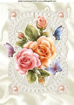 Beautiful Peach/pink Roses on Ecru Vintage Lace A4