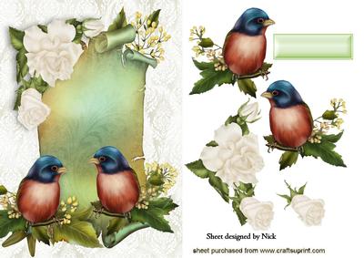 Pretty Birds on a Scroll with White Roses