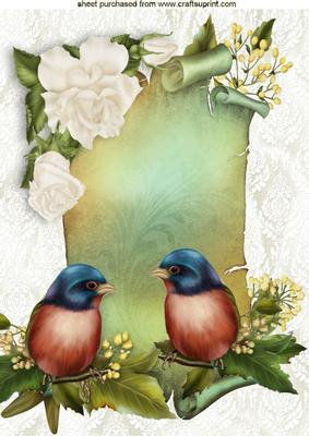 Pretty Birds on a Scroll with White Roses A4