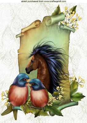 Horse on a Scroll with Birds A4