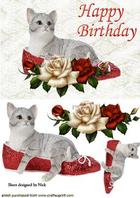 Kitten in Shoe on Lace with Red Roses