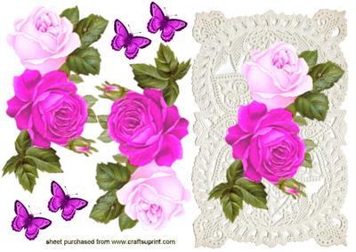 Stunning Pink/cerise Roses on Ecru Lace