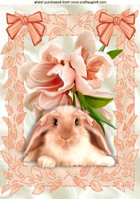 Peach Flowers in Lace with Cute Fluffy Bunny A4