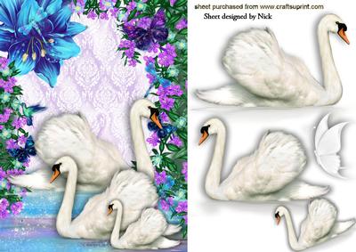 Family of White Swans in Fantasy Water