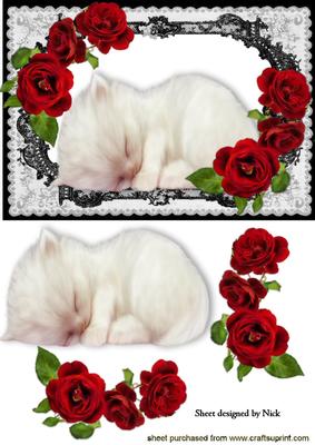 Kitten Sleeping in Lace Frame with Red Roses