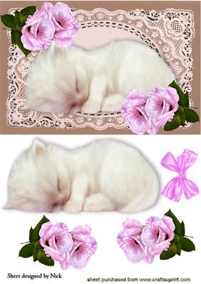 Cute Kitty Sleeping on Ecru Lace with Pink Roses