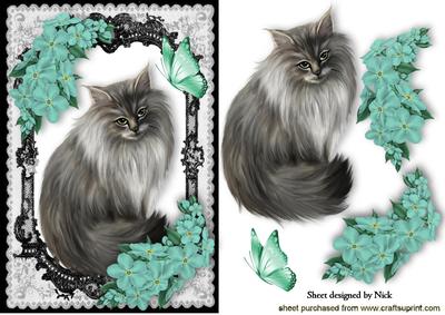 Persian Grey in Lace Frame with Turq Flowers