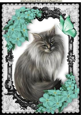 Persian Grey in Lace Frame with Turq Flowers A4