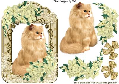 Persian Ginger Cat in Floral Lace Frame