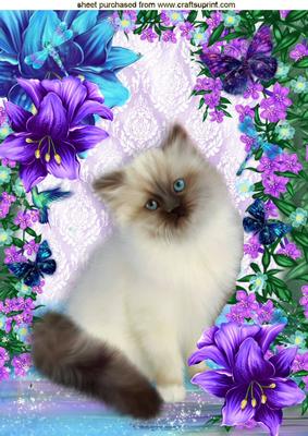 White Fluffy Persian Kitten with Fantasy Design A4