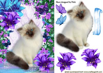 White Fluffy Persian Kitten in Fantasy Design