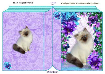 Persian White Kitten with Purple/turq Folded Book